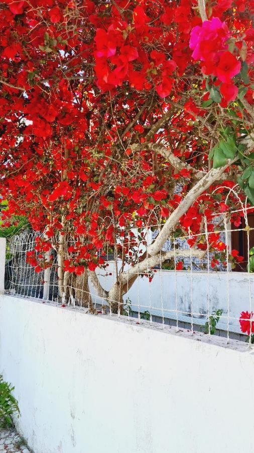 فيلا Arrabida Cozy House بالميلا المظهر الخارجي الصورة
